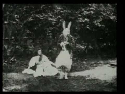 The Cosmic Dead ▲ The White Rabbit