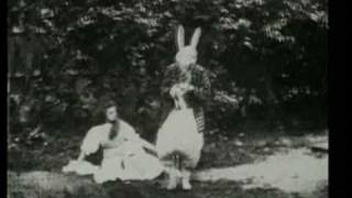 The Cosmic Dead ▲ The White Rabbit