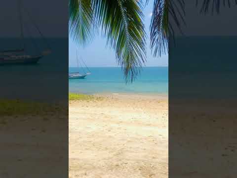 Serene View of the Stone Town Beach in Zanzibar #Shorts
