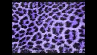 Crawl Up And Die &quot;Stray Cats&quot; Backing Track (Dr Bass cover)