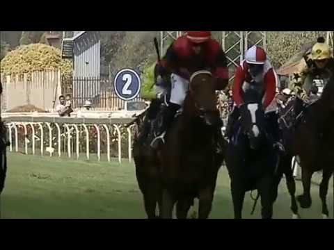 2019 Gr3 Pretty Polly Stakes