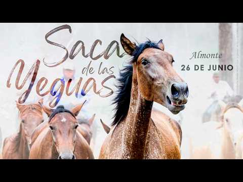 Saca de Las Yeguas 2026 - Paso por El Rocío