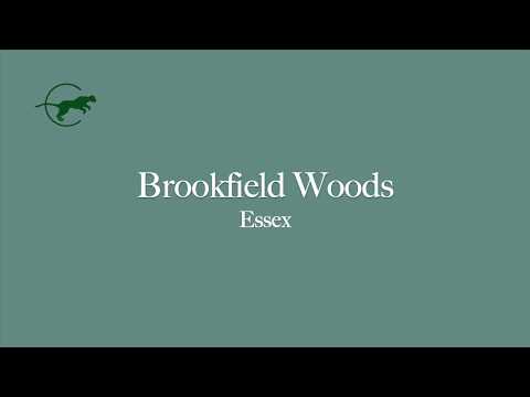 BrookField Woods Condos, Essex, Vermont 05452