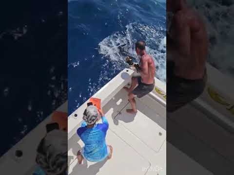 28-08 - Blue Marlin!! - Cavalier & Blue Marlin Sport Fishing Gran Canaria