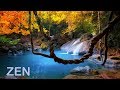 Música Zen y Sonidos de la Naturaleza - Quitar el Estrés y Descansar la Mente