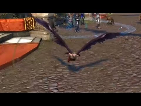 New wings mount | neverwinter | gameplay
