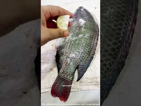 EASIEST WAY TO REMOVE FISH SCALES #shorts #creative #lifehacks #voiceoverintamil