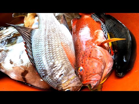 DANGEROUS ENCOUNTER😥 | Nabulabog dahil sa mga pag-SABOG💣#spearfishingPhilippines #supportlocal