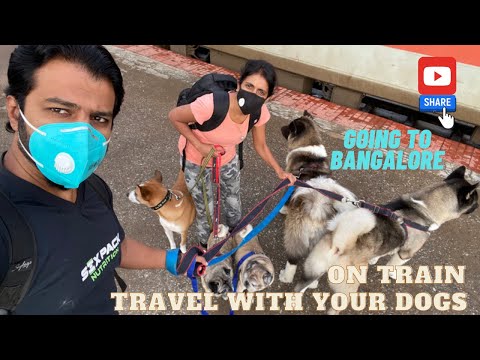 How to travel with Dogs & pets on Train in India II Episode 1 II Pet Home Boarding