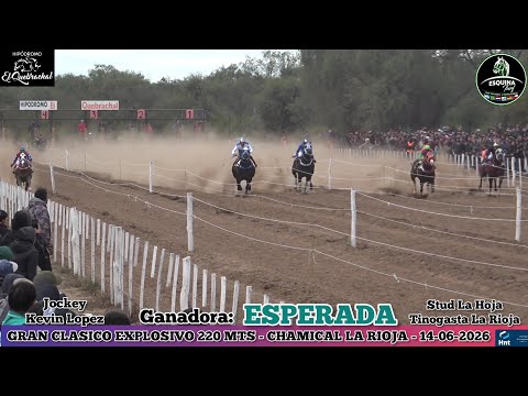 ESPERADA (Tinogasta La Rioja) Hipodromo El Quebrachal Chamical La Rioja - 14-06-2026