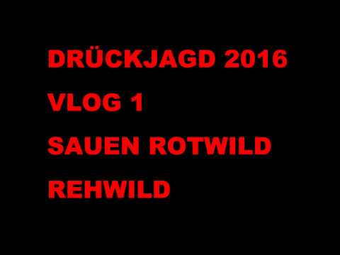 DRÜCKJAGD HERBST 2016/1 DRIVENHUNT