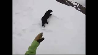 [問卦] 狗勾為什麼要模仿永恆號？