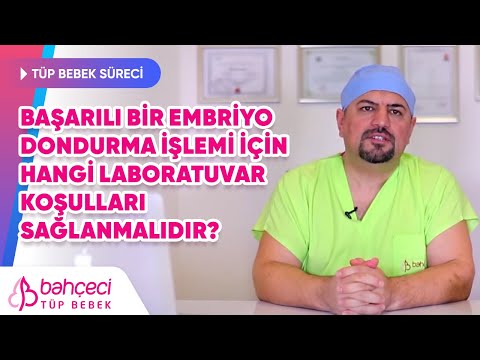 Başarılı Bir Embriyo Dondurma İşlemi İçin Hangi Laboratuvar Koşulları Sağlanmalıdır?
