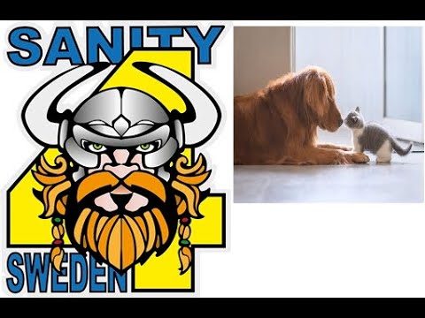 Cats and dogs comparison