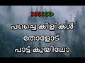 Pachaikilikal Tholodu Karaoke With Lyrics Malayalam