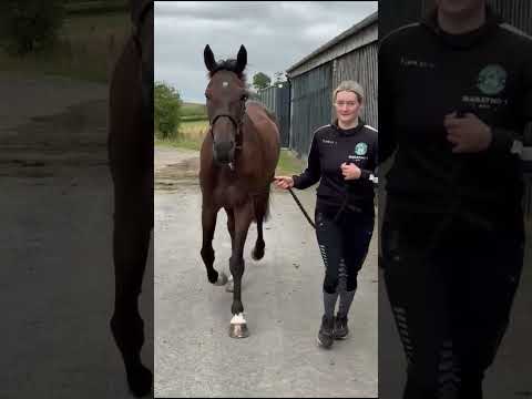 Video 1