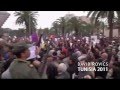 David Rovics -  Tunisia 2011 (Official video)