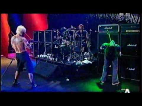 Red Hot Chili Peppers - Yertle Trilogy (Sashimi Studios) Part 1