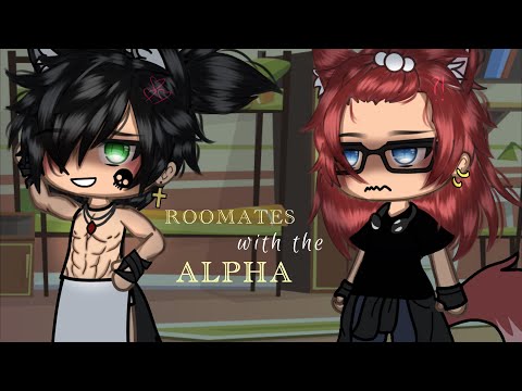-`♡´- roommates with the ALPHA 💋🐺 — | BL GLMM | GAY GLMM | Alpha x Beta | 80k?