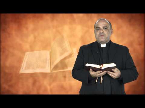 Evangelho do Dia - 26/08/2015