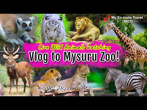 A Day at Mysuru Zoo | Exploring wild life | Zoo Animals