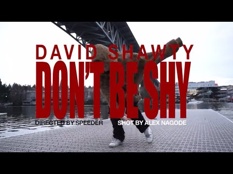 david shawty - dont be shy (music video)
