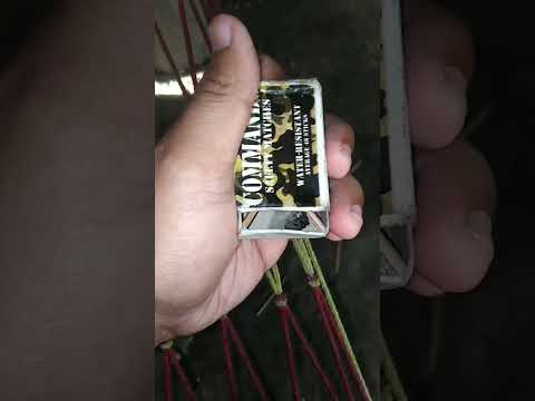 Derby Size 😂 #trendingvideo #spider #gagamba #viral #trending #shorts #viralshorts #trendingshorts