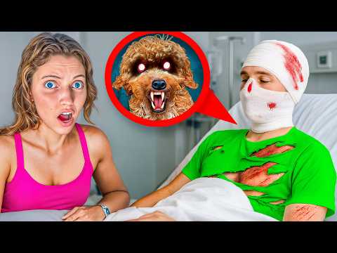 My Puppy ATTACKED My New BOYFRIEND!!