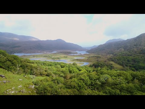 John McDermott - The Minstrel Boy Lyric Video 2022