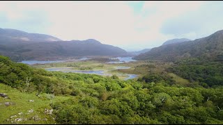 John McDermott - The Minstrel Boy Lyric Video 2022