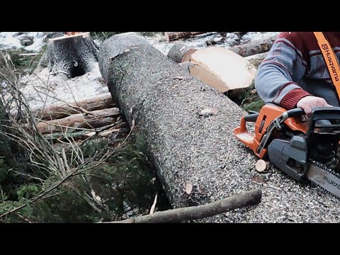 Miten toimia jos sahan laippa jää jumiin? - Katsojan toive