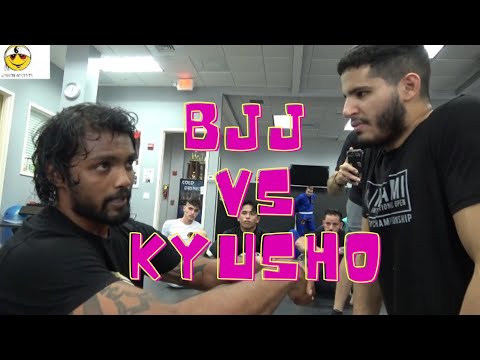 Brazilian Jiu Jitsu vs Kyusho INSANE KNOCKOUT by Bruce Iron Lion