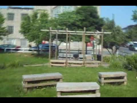 Operation S.O.S. (Save Our Streets) Part 1 - T.O.C. Entertainment