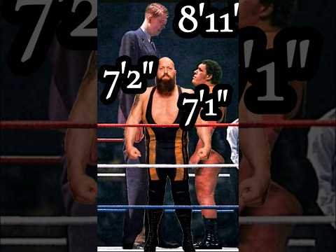 THE BIG SHOW ANDRE THE GIANT & ROBERT WADLOW FACE TO FACE #shorts