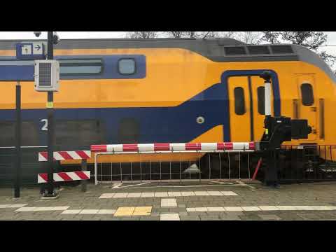 2 virmm1’s op Krabbendijke