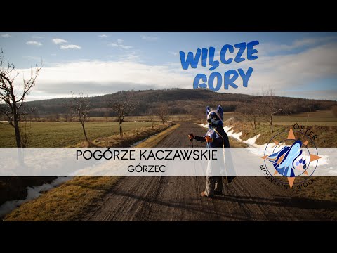 Wilcze Góry - Pogórze Kaczawskie -  Górzec