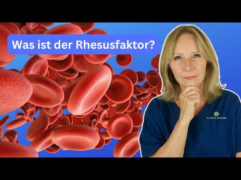 Rhesusfaktor einfach erklärt: Risiko in der Schwangerschaft & Rhesusprophylaxe | Dr. Claudia Bignion