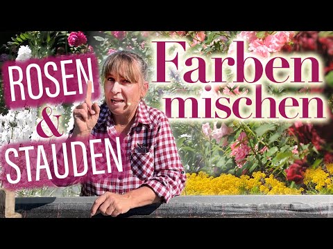 Wie Sie ROSEN & STAUDEN zu den schönsten FARB-Kombinationen zusammen stellen | Landhaus Ettenbühl