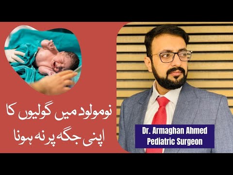 Undescended Testes in Children | Dr. Armaghan Ahmed