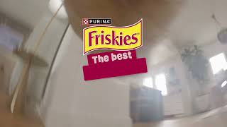 Friskies On a Quest for the Best Dry Cat Food? 