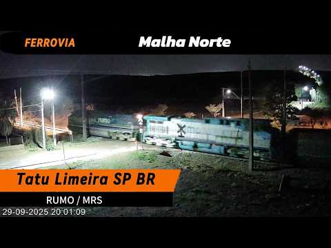 TREM AO VIVO TATU LIMEIRA SP BRASIL