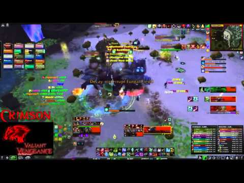 Valiant Vengeance VS Mythic Brackenspore (Tank PoV)