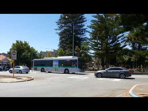 Transperth Mercedes-Benz OC500LE (Volgren CR228L) TP1990 Arrives @ Fremantle Station