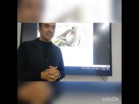 Nervus Trigeminus (ophtalmicus, maxillaris, mandibularis)