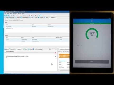 ByteBlower Wireless Endpoint