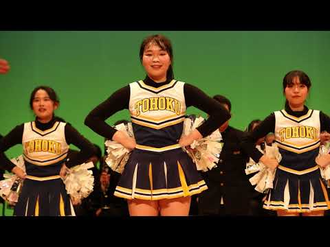 動画のタイトルなど