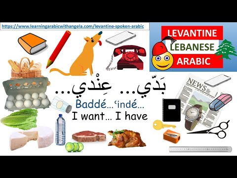 I want- I have-Learn Levantine Lebanese  Arabic with Angela