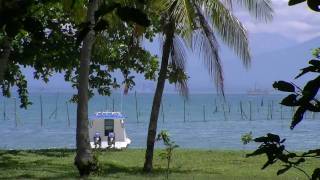 preview picture of video 'Beach in Front of Villa Holmestead - Tanjung Lesung'
