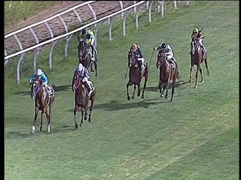 Galoppo 20/07/2019 - 5ª corsa