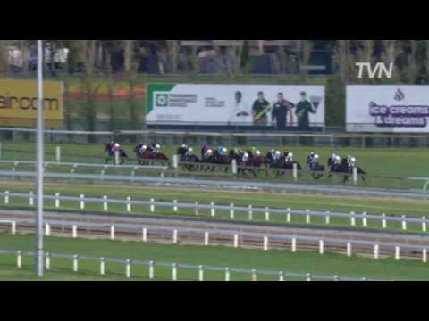 2009 Underwood Stakes- Heart of Dreams